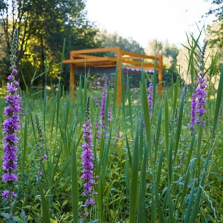 Duza Woda Dąbrówno